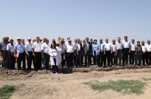 Beyləqanda keçirilən tarla seminarında pambıqçılığın inkişafı müzakirə olunub