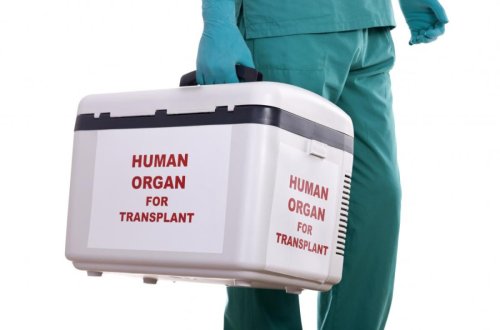 “Orqan Donorluğu və Transplantasiyası üzrə Koordinasiya Mərkəzi” yaradılıb