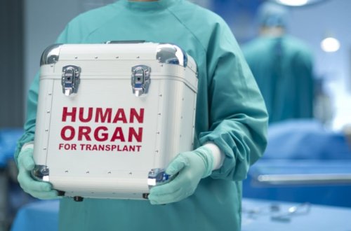 Orqan Transplantasiyası üzrə Koordinasiya Mərkəzinin idarəetmə qaydası və fəaliyyət istiqamətləri açıqlanıb