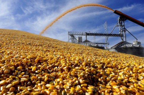 İspaniya Ukrayna taxılının qatarla daşınması üzrə pilot layihəyə start verib