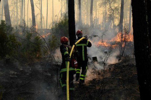 Fransada yanğınlara görə 10 mindən çox sakin təxliyə olunub
