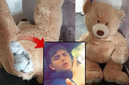 Polisin axtardığı dəlil oyuncaq ayıdan çıxıb