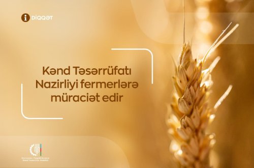 Kənd Təsərrüfatı Nazirliyi fermerlərə müraciət edir