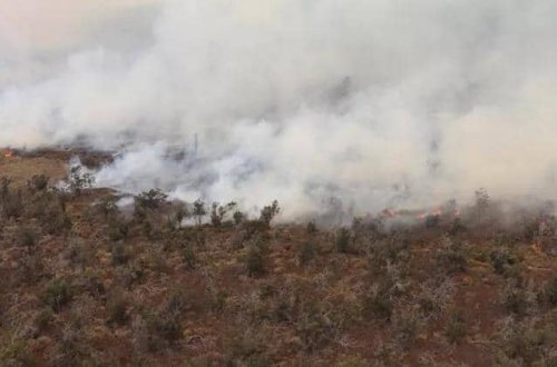 Havayda 9800 hektar ərazi yanaraq külə dönüb