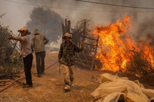 Avropa dözülməz istilərdən və meşə yanğınlarından əziyyət çəkir