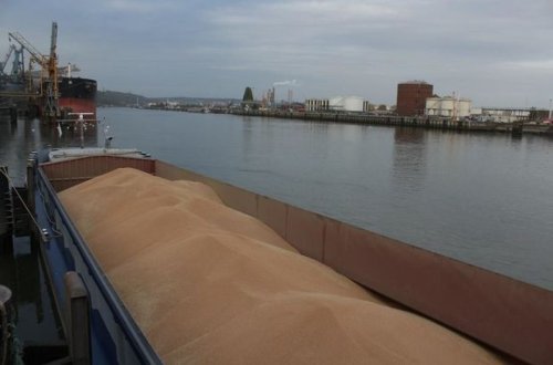 Türkiyəyə qarğıdalı və günəbaxan toxumu daşıyan gəmi Çernomorskdan yola düşüb