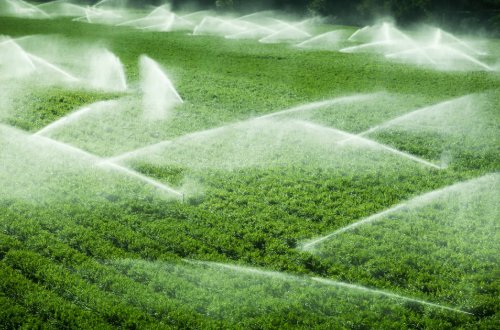 Torpaq istifadəçilərini suya həsrət qoyan vəzifəli şəxslər saxlanıldı