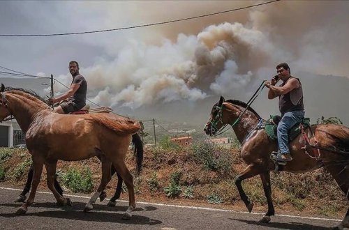 İspaniyada yanğınla əlaqədar 1300 nəfər təxliyə edilib