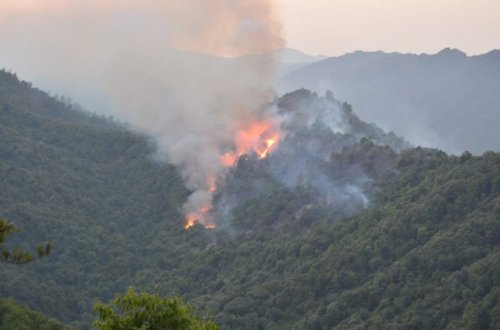 Şabran və Qəbələdə yanğının söndürülməsinə helikopterlər cəlb olunub