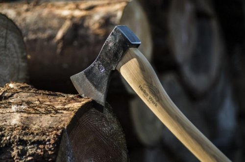 Azərbaycanda 40-dan çox ağacın kəsilməsinə görə cinayət işi başlanılıb