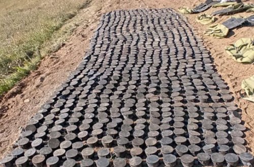 Sarıbaba yüksəkliyində mina sahəsi aşkarlandı - Fotolar