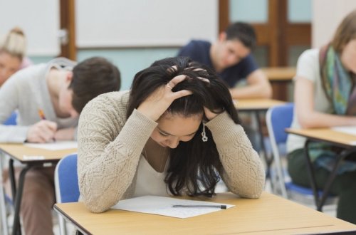 Magistratura üzrə boş yerlərə əlavə yerləşdirməyə start verilir