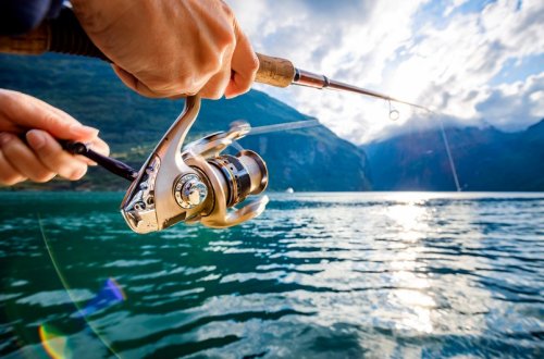 Kürdə və Baş Mil-Muğan kollektorunda balıq ovlayan şəxslər saxlanılıb