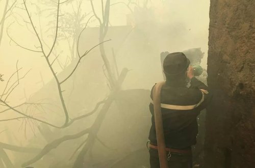 Əlcəzairdə meşə yanğınlarında ölənlərin sayı 26-ya çatıb