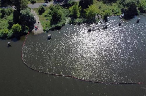 Bu çayda 100 ton ölü balıq tapılıb