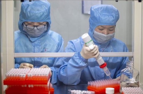 Çində ortaya çıxan “Langya” virusu ciddi tədbirlər tələb edə bilər