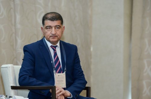 Nazir müavini: “Şimal bölgəsində yanğınların əsas səbəbi insan amilidir