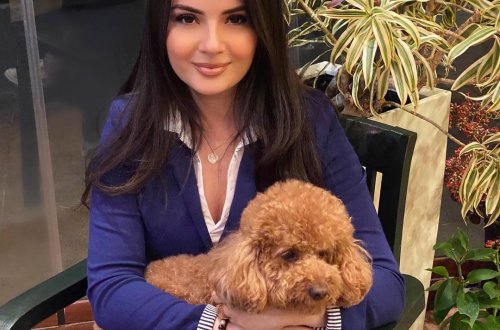 Aysel Teymurzadəyə qarşı dələduzluq edildi - FOTO