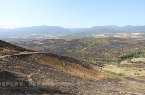 Şabranın bəzi kəndlərində yanğınlar söndürüldü - FOTO