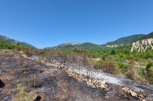 İsmayıllıda qəsdən yanğın törətmə faktının üstü açılıb