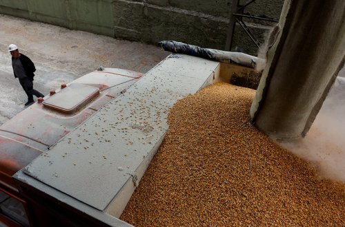 ABŞ 150 min ton Ukrayna taxılını almağa hazırlaşır