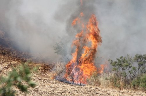 Biləsuvardakı yanğın söndürülüb