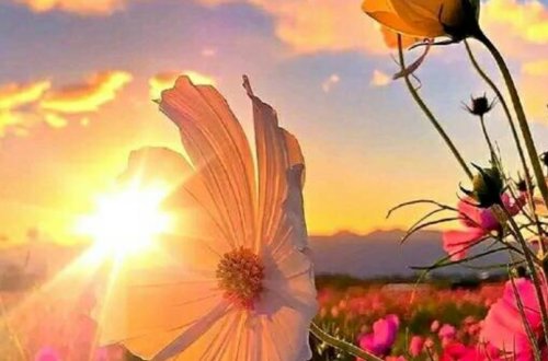 Sabah 39 dərəcə isti olacaq