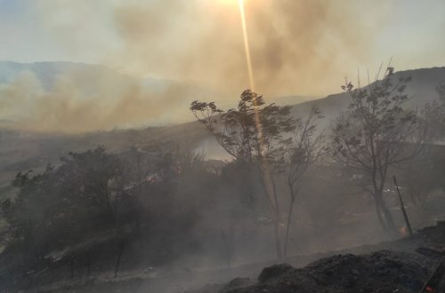 Azərbaycanda meşə yanğınlarını kimlər törədib? - RƏSMİ - VİDEO
