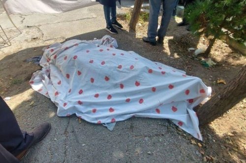 Tehranda məşhur həkim odlu silahla qətlə yetirilib - FOTO