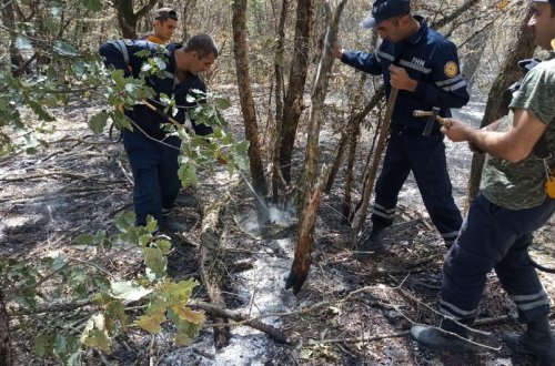 Ağdamda 20 hektarlıq meşə ərazisi yanıb