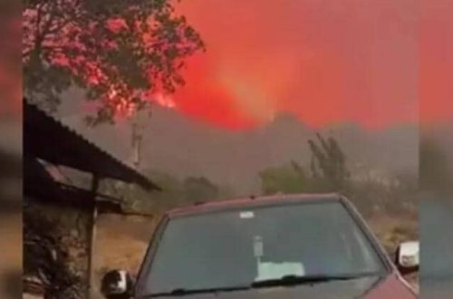 Meşə yanğınları daha bir ölkəyə sıçradı: 1500 nəfər təxliyə edilib