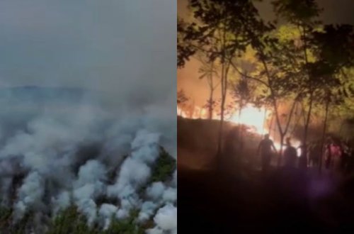 Çində meşə yanğınları 32 milyon əhalinin yerləşdiyi əraziyə çatıb - VİDEO