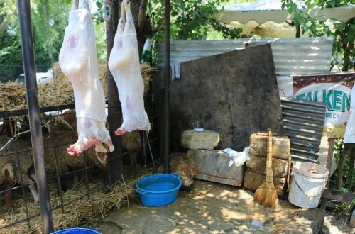 Nöqsan aşkarlanan heyvan kəsimi məntəqələrinin adları açıqlanıb - SİYAHI