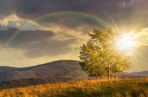 Sabahın hava proqnozu açıqlanıb