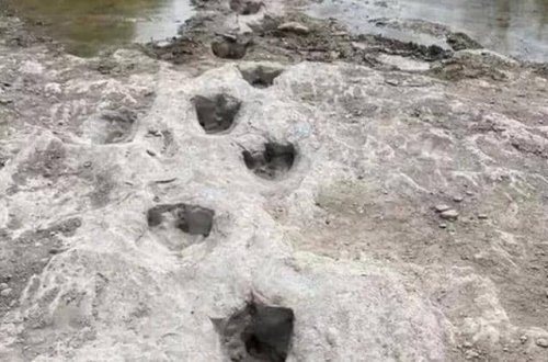 ABŞ-da 113 milyon illik dinozavr izləri ortaya çıxdı