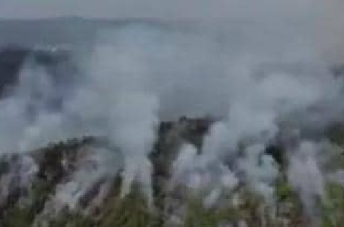 Çində meşə yanğınları davam edir: Yüzlərlə insan təxliyə EDİLİB