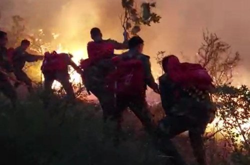 Azərbaycanda baş verən 6 yanğının qəsdən törədildiyi aşkarlandı
