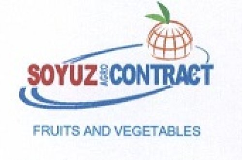 BAKIDA MƏŞHUR MMC TÜRK ŞİRKƏTİNİN PULUNU ÖDƏMİR – MƏHKƏMƏ QALMAQALI…