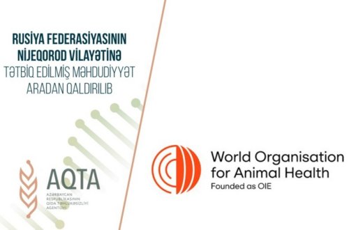 Rusiyanın Nijeqorod vilayətinə tətbiq edilən məhdudiyyət aradan qaldırılıb