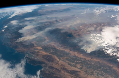 Avstraliyada yanğınlar 12 milyon hektardan çox meşə sahəsini məhv edib