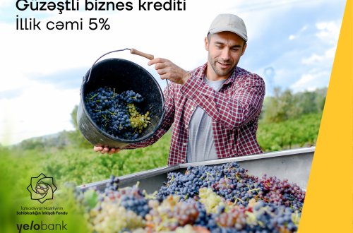Yelo Bank-dan illik cəmi 5%-lik kreditlə biznes dəstəyi
