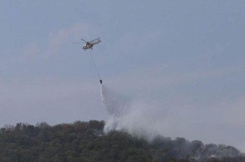 Azərbaycanın yanmış əraziləri xəritələşdiriləcək