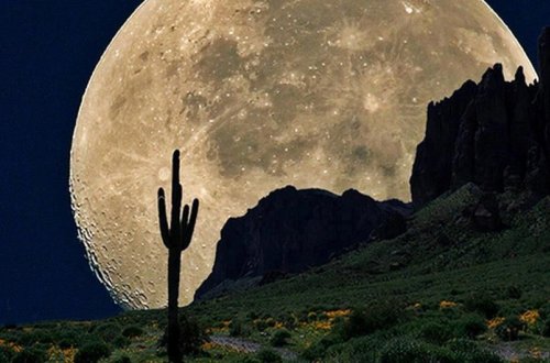 NASA rəhbəri: “Yer sakinləri Aya yaşamaq və təhsil almaq üçün gedəcək”