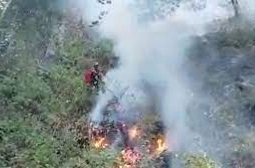 МЧС: В Масаллы продолжается тушение пожара в горной местности