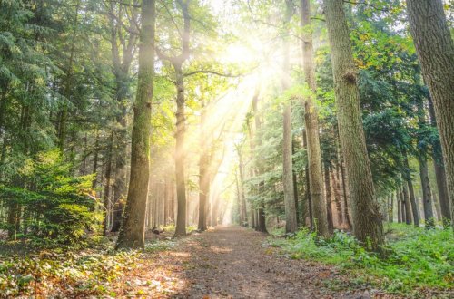 Sabahın hava proqnozu açıqlanıb