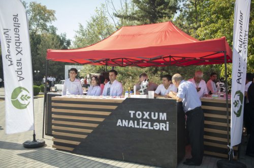 Sabirabad rayonunda toxum sərgi-satış yarmarkası keçirilib
