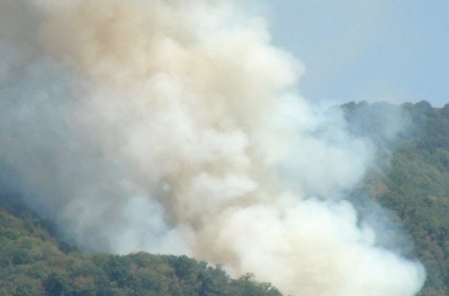 Zaqatalada yanğının söndürülməsinə 2 helikopter cəlb olunub - VİDEO