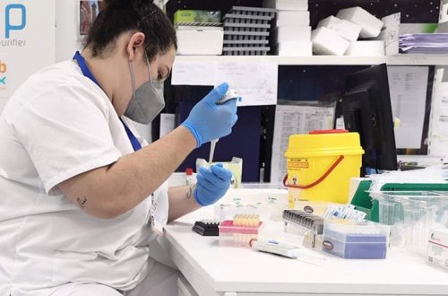 Argentinada naməlum xəstəlik yayılıb