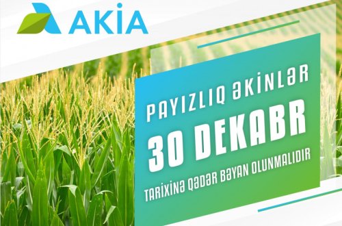 Payızlıq əkin bəyanlarının qəbuluna başlanılıb