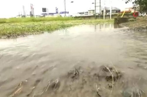 Güclü yağışlar Yaponiyada həyatı iflic edir